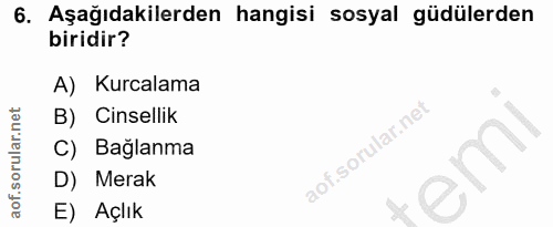 6. soru: Aşağıdakilerden hangisi sosyal güdülerden biridir? A) Kurcalama B) Cinsellik C) Bağlanma D) Merak E) Açlık