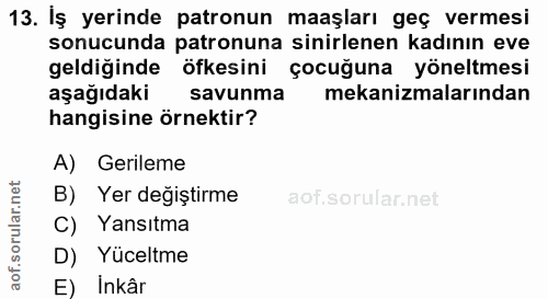 13. soru: Iş yerinde patronun maaşları geç vermesi sonucunda patronuna sinirlenen kadının eve geldiğinde öfkesini çocuğuna yöne…