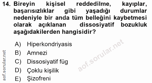 14. soru: Bireyin kişisel reddedilme, kayıplar, başarısızlıklar gibi yaşadığı durumlar nedeniyle bir anda tüm belleğini kaybetm…