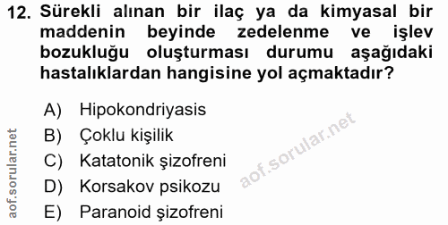 12. soru: Sürekli alınan bir ilaç ya da kimyasal bir maddenin beyinde zedelenme ve işlev bozukluğu oluşturması durumu aşağıdaki…