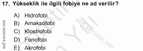 17. soru: Yükseklik ile ilgili fobiye ne ad verilir? A) Hidrofobi B) Amaksofobi C) Klostrofobi D) Fonofobi E) Akrofobi