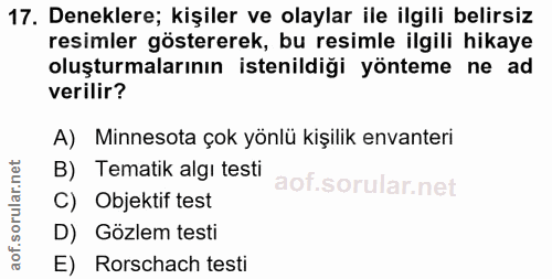 17. soru: Deneklere; kişiler ve olaylar ile ilgili belirsiz resimler göstererek, bu resimle ilgili hikaye oluşturmalarının iste…
