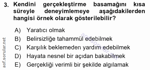 3. soru: Kendini gerçekleştirme basamağını kısa süreyle deneyimlemeye aşağıdakilerden hangisi örnek olarak gösterilebilir? A)…