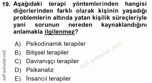19. soru: Aşağıdaki terapi yöntemlerinden hangisi diğerlerinden farklı olarak kişinin yaşadığı problemlerin altında yatan kişil…