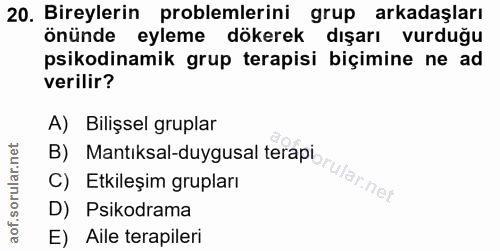 20. soru: Bireylerin problemlerini grup arkadaşları önünde eyleme dökerek dışarı vurduğu psikodinamik grup terapisi biçimine ne…
