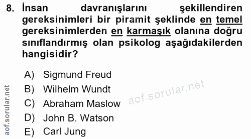 8. soru: Insan davranışlarını şekillendiren gereksinimleri bir piramit şeklinde en temel gereksinimlerden en karmaşık olanına…