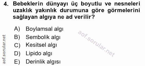 4. soru: Bebeklerin dünyayı üç boyutlu ve nesneleri uzaklık yakınlık durumuna göre görmelerini sağlayan algıya ne ad verilir?…