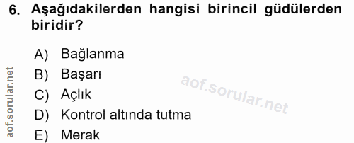 6. soru: Aşağıdakilerden hangisi birincil güdülerden biridir? A) Bağlanma B) Başarı C) Açlık D) Kontrol altında tutma E) Merak