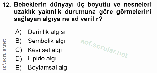 12. soru: Bebeklerin dünyayı üç boyutlu ve nesneleri uzaklık yakınlık durumuna göre görmelerini sağlayan algıya ne ad verilir?…