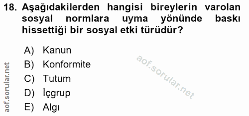 18. soru: Aşağıdakilerden hangisi bireylerin varolan sosyal normlara uyma yönünde baski hissettiği bir sosyal etki türüdür? A)…