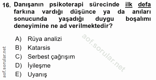 16. soru: Danışanın psikoterapi sürecinde ilk defa farkına vardığı düşünce ya da anıları sonucunda • yaşadığı duygu boşalımı de…