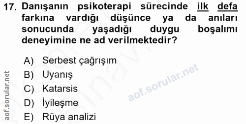 17. soru: Danışanın psikoterapi sürecinde ilk defa farkına vardığı düşünce ya da anıları sonucunda yaşadığı duygu boşalımı dene…