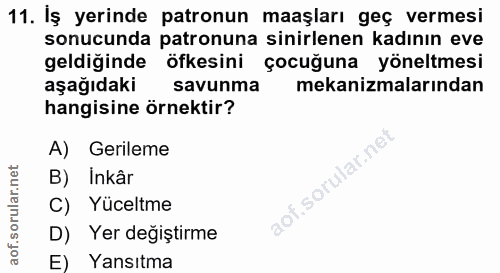 11. soru: İş yerinde patronun maaşları geç vermesi sonucunda patronuna sinirlenen kadının eve geldiğinde öfkesini çocuğuna yöne…