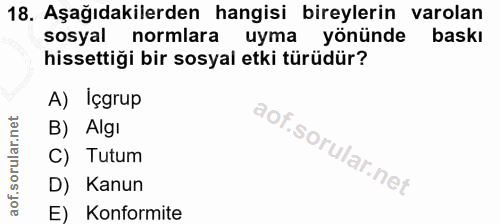 18. soru: Aşağıdakilerden hangisi bireylerin varolan sosyal normlara uyma yönünde baskı hissettiği bir sosyal etki türüdür? A)…