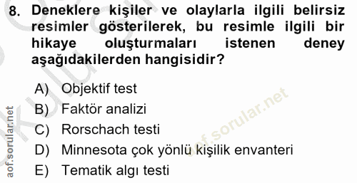 8. soru: Deneklere kişiler ve olaylarla ilgili belirsiz resimler gösterilerek, bu resimle ilgili bir hikaye oluşturmaları iste…