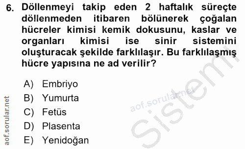 6. soru: Döllenmeyi takip eden 2 haftalık süreçte döllenmeden itibaren bölünerek çoğalan hücreler kimisi kemik dokusunu, kasla…