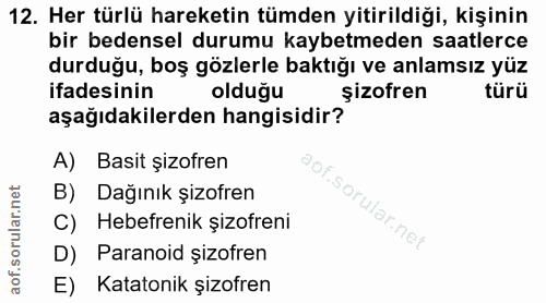 12. soru: Her türlü hareketin tümden yitirildiği, kişinin bir bedensel durumu kaybetmeden saatlerce durduğu, boş gözlerle baktı…