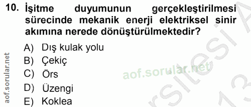 10. soru: İşitme duyumunun gerçekleştirilmesi sürecinde mekanik enerji elektriksel sinir akımına nerede dönüştürülmektedir? A)…