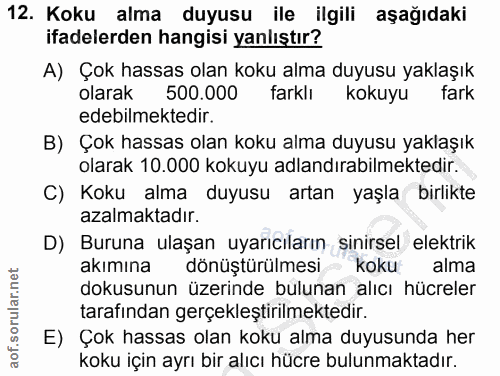 12. soru: Koku alma duyusu ile ilgili aşağıdaki ifadelerden hangisi yanlıştır? A) Çok hassas olan koku alma duyusu yaklaşık ola…