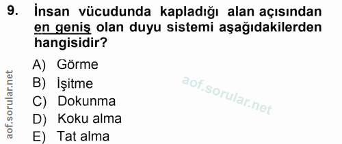 9. soru: İnsan vücudunda kapladığı alan açısından en geniş olan duyu sistemi aşağıdakilerden hangisidir? A) Görme B) İşitme C)…