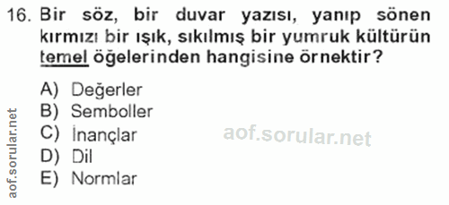 16. soru: Bir söz, bir duvar yazısı, yanıp sönen kırmızı bir ışık, sıkılmış bir yumruk kültürün temel öğelerinden hangisine örn…