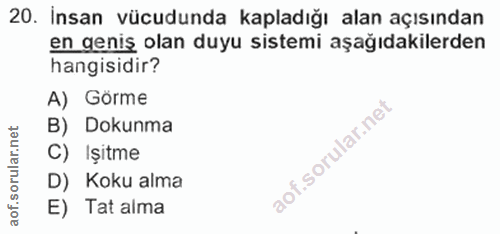 20. soru: İnsan vücudunda kapladığı alan açısından en geniş olan duyu sistemi aşağıdakilerden hangisidir? A) Görme B) Dokunma C…