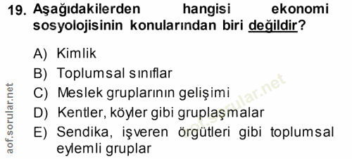 19. soru: Aşağıdakilerden hangisi ekonomi sosyolojisinin konularından biri değildir? A) Kimlik B) Toplumsal sinıflar C) Meslek…