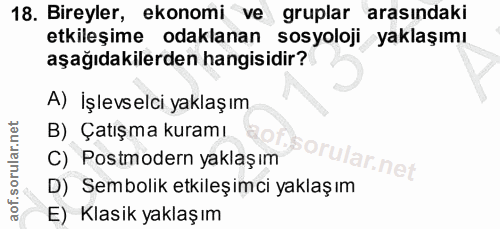 18. soru: Bireyler, ekonomi ve gruplar arasındaki etkileşime odaklanan sosyoloji yaklaşımı aşağıdakilerden hangisidir? A) İşlev…