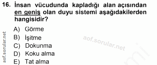 16. soru: İnsan vücudunda kapladığı alan açısından en geniş olan duyu sistemi aşağıdakilerden hangisidir? A) Görme B) Işitme C)…