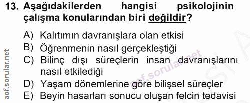 13. soru: Aşağıdakilerden hangisi psikolojinin çalışma konularından biri değildir? A) Kalıtımın davranışlara olan etkisi B) Öğr…