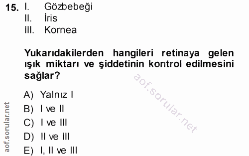 15. soru: l. Gözbebeği II. Iris III. Kornea Yukarıdakilerden hangileri retinaya gelen ışık miktarı ve şiddetinin kontrol edilme…