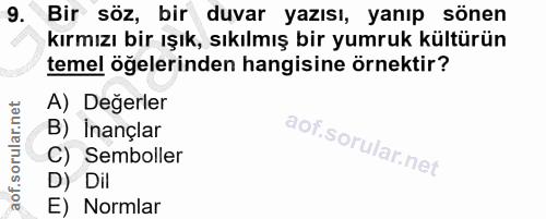 9. soru: Bir söz, bir duvar yazısı, yanıp sönen kırmızı bir ışık, sıkılmış bir yumruk kültürün temel öğelerinden hangisine örn…