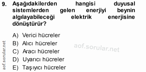 9. soru: Aşağıdakilerden hangisi duyusal sistemlerden gelen enerjiyi beynin algılayabileceği elektrik enerjisine dönüştürür? A…
