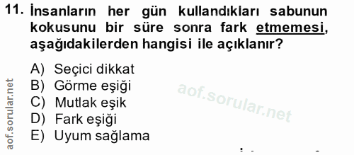 11. soru: İnsanların her gün kullandıkları sabunun kokusunu bir süre sonra fark etmemesi, aşağıdakilerden hangisi ile açıklanır…