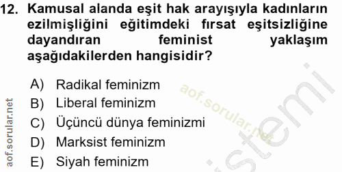 12. soru: Kamusal alanda eşit hak arayışıyla kadınların ezilmişliğini eğitimdeki fırsat eşitsizliğine dayandıran feminist yakla…