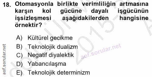18. soru: Otomasyonla birlikte verimliliğin artmasına karşın kol gücüne dayalı işgücünün işsizleşmesi aşağıdakilerden hangisine…