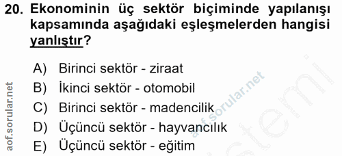 20. soru: Ekonominin üç sektör biçiminde yapılanışı kapsamında aşağıdaki eşleşmelerden hangisi yanlıştır? A) Birinci sektör - z…