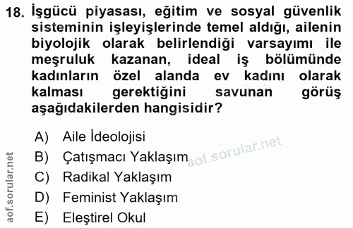 18. soru: Işgücü piyasası, eğitim ve sosyal güvenlik sisteminin işleyişlerinde temel aldığı, ailenin biyolojik olarak belirlend…