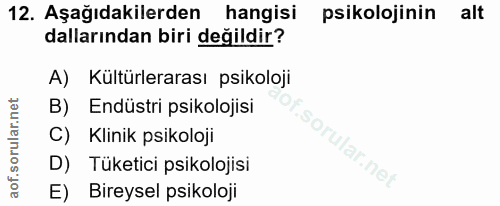 12. soru: Aşağıdakilerden hangisi psikolojinin | alt dallarından biri değildir? A) Kültürlerarası psikoloji B) Endüstri psikolo…