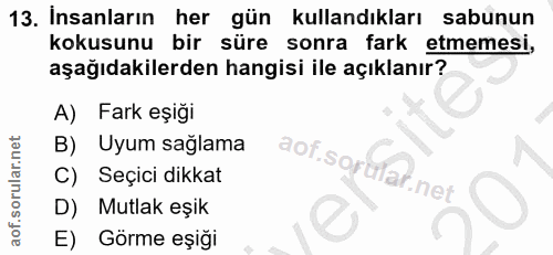 13. soru: Insanların her gün kullandıkları sabunun kokusunu bir süre sonra fark etmemesi, aşağıdakilerden hangisi ile açıklanır…