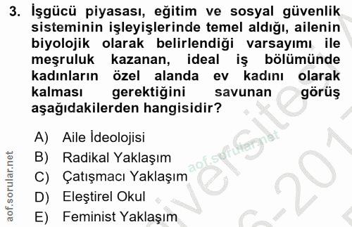3. soru: Işgücü piyasası, eğitim ve sosyal güvenlik sisteminin işleyişlerinde temel aldığı, ailenin biyolojik olarak belirlend…