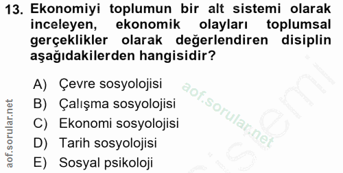 13. soru: Ekonomiyi toplumun bir alt sistemi olarak inceleyen, ekonomik olayları toplumsal gerçeklikler olarak değerlendiren di…