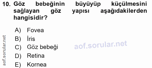 10. soru: Göz bebeğinin büyüyüp küçülmesini sağlayan göz Yapısı aşağıdakilerden hangisidir? A) Fovea B) iris C) Göz bebeği D) R…