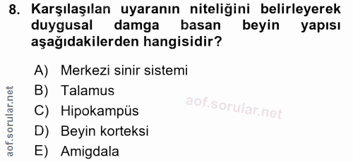 8. soru: Karşılaşılan uyaranın niteliğini belirleyerek duygusal damga basan beyin yapısı aşağıdakilerden hangisidir? A) Merkez…