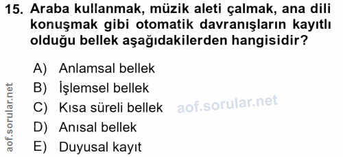 15. soru: Araba kullanmak, müzik aleti çalmak, ana dili konuşmak gibi otomatik davranışların kayıtlı olduğu bellek aşağıdakiler…