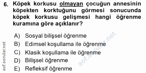 6. soru: Köpek korkusu olmayan çocuğun annesinin köpekten korktuğunu görmesi sonucunda köpek korkusu gelişmesi hangi öğrenme k…