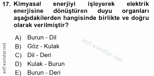 17. soru: Kimyasal enerjiyi işleyerek elektrik enerjisine dönüştüren duyu organları aşağıdakilerden hangisinde birlikte ve doğr…