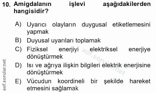 10. soru: Amigdalanın işlevi aşağıdakilerden hangisidir? A) Uyarıcı olayların duygusal etiketlemesini yapmak B) Duyusal uyarıla…