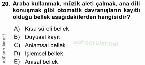 20. soru: Araba kullanmak, müzik aleti çalmak, ana dili konuşmak gibi otomatik davranışların kayıtlı olduğu bellek aşağıdakiler…