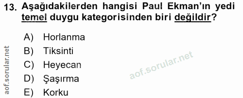 13. soru: Aşağıdakilerden hangisi Paul Ekman'ın yedi temel duygu kategorisinden biri değildir? A) Horlanma B) Tiksinti C) Heyec…